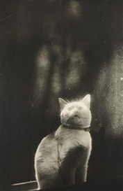 Shikanosuke Yagaki, Please open the door (Cat in Window), 1930s