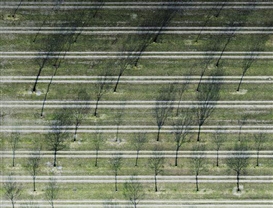 Andreas Gefeller, Untitled (Parking Site 1) 2007