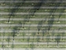 Andreas Gefeller, Untitled (Parking Site 1) 2007