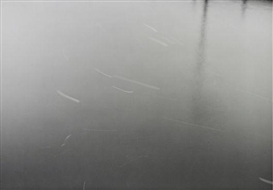 Thomas Joshua Cooper, Near the Water of the Water of Leith, 1997