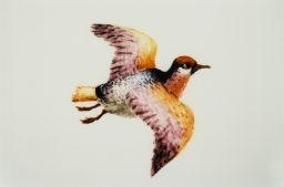 Mark Dion, NOTES TOWARDS A FIELD GUIDE OF THE BIRDS OF THE DEPARTMENT OF EUROPEAN DECORATIVE ARTS OF THE ART INSTITURE OF CHICAGO