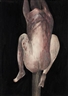 Berlinde de Bruyckere, Schmerzensmann 9