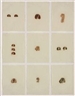 Hannah Wilke, Untitled