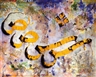 Hurouf: The Art of the Word - Sotheby's Doha