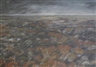 Carol Anderson, Impact II