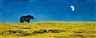 Wang Zhijie, Wild Yak in the Night