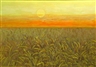 Guy MacCoy, Wheat field
