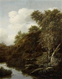 Forest landscape with brook