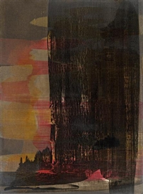 Erwin Bohatsch, Untitled