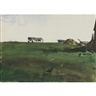 Andrew Wyeth, New Grass