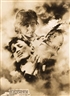 John Heartfield, RUHE HERRSCHT WIEDER IN BARCELONA 1934