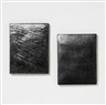 Eva Schlegel, Untitled - diptych