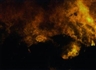Tue Greenfort, Incineration