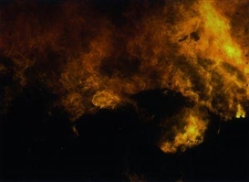 Tue Greenfort, Incineration