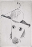 Georg Muche, Tierkopf