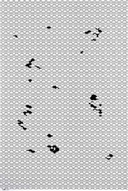 Carsten Nicolai, Modular Restrukt (Modular Shapes) II/671