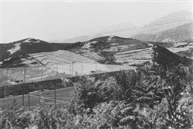 Anri Sala, A Place for Sheep and Games