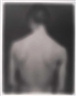 Bill Jacobson, Song of Sentient Being 1530