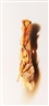 Mark Fairnington, Specimen (2)