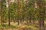 Important Sale - Uppsala Auktionskammare
