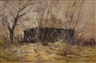 Colleen Parker, Untitled