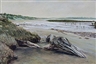 Mark Cross, Mangroves