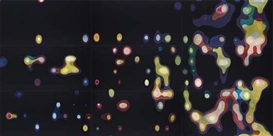 Peter Zimmermann, Untitled (floor) (9 parts)