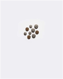 Matt Johnson, Small Change