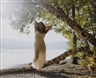 Katy Grannan, Joshi, Mystic Lake, Medford, MA