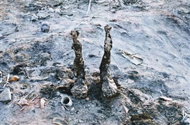 Huma Bhabha, Untitled