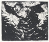 Herbert Fladerer, Flying