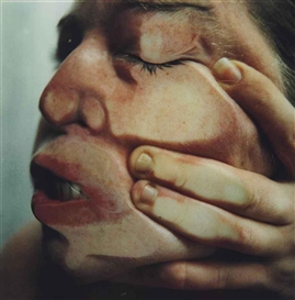 Jenny Saville, Closed Contact #14
