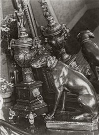 Paul Roelof Citroën, STILL LIFE