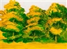 Sigrid Holmwood, Untitled