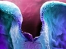 Pauline Aitken: Taking a Closer View: Painting, Prints and Micrographs - Royal Botanic Garden Edinburgh