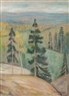 Oskari Paatela, VIEW OF KOLI