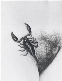 Joan Fontcuberta, Untitled