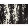 Stefan Thiel, Weiden III