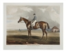 Sporting Print Sale - Bloomsbury Auctions, London