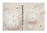 Rohan Wealleans, Cold Comfort