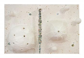 Rohan Wealleans, Cold Comfort
