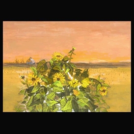 Guy MacCoy, Sunflowers