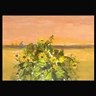 Guy MacCoy, Sunflowers