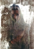 Shadi Ghadirian, Be Colourful # 2