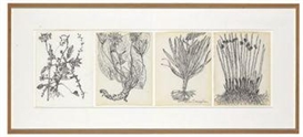 Merce Cunningham , Untitled Quartet (all pages: Plants and Roots)