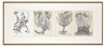 Merce Cunningham , Untitled Quartet (all pages: Plants and Roots)