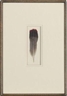 Tom Marioni, Magic Feather