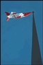 Charles Pachter, Flag