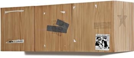 Kaz Oshiro, Wall Cabinet #2 (Sonic Youth)