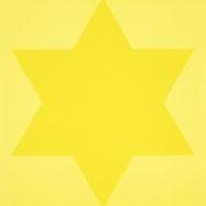 Olivier Mosset, Etoile jaune